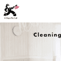 6 Days Cleaning Reviews