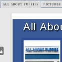 All About Puppies Reviews