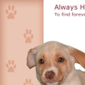 Always Hope Animal Rescue Reviews