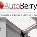 Autoberry Reviews