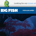 Big Fish Games Reviews