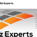 Biz Experts Reviews
