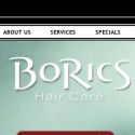 BoRics Reviews