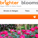 Brighter Blooms Nursery Reviews