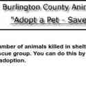 Burlington County Animal Alliance Reviews