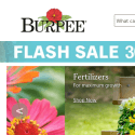 Burpee Seeds And Plants Reviews