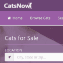 catsnow Reviews