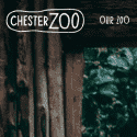 Chester Zoo Reviews