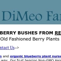 Dimeo Farms Reviews