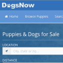 Dogsnow Reviews