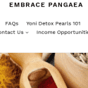 Embrace Pangaea Reviews