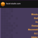 Facet Studio Reviews