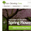 Fast Growing Trees Reviews
