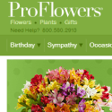 Florist Express Reviews