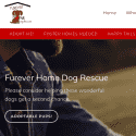 Furever Home Dog Rescue Reviews