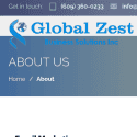 Global Zest Business Solutions Reviews