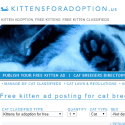 KittensForAdoption Us Reviews