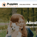 Little Puppies Online Reviews