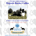 Majestic Border Collies Reviews