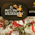 Mellow Mushroom Reviews