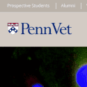 Penn Vet Reviews