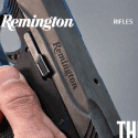 Remington Arms Reviews