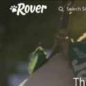Rover Com Reviews