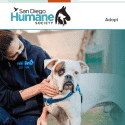 San Diego Humane Society Reviews