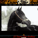 SC Desert Star Arabians Reviews