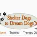 Shelter Dogs To Dream Dogs Reviews