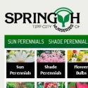 Spring Hill Nursery Reviews