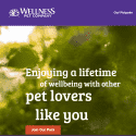 Wellness Pet Reviews