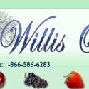 Willis Orchard Company Reviews