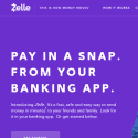 Zelle Pay Reviews